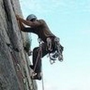 Meet your Posher, Erwin